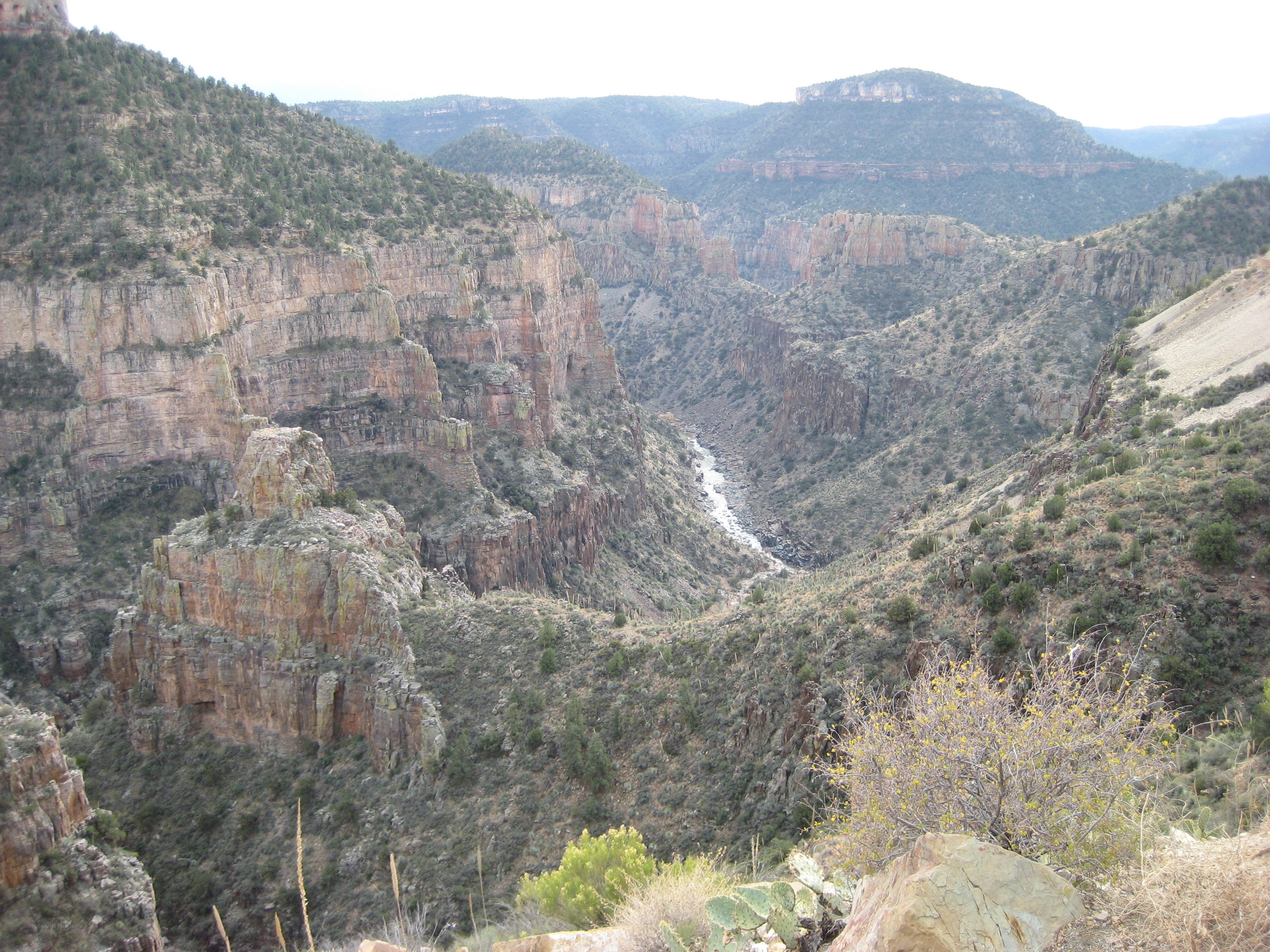 canyon landscape with river