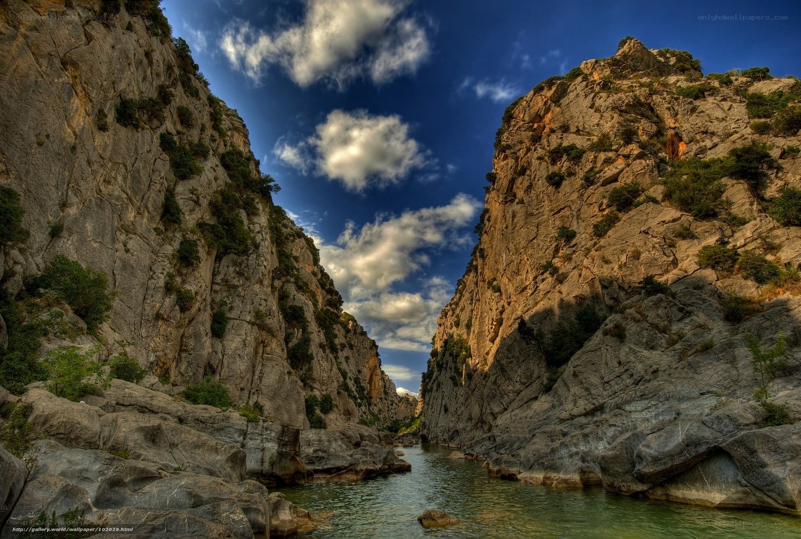 Canyon river landscape