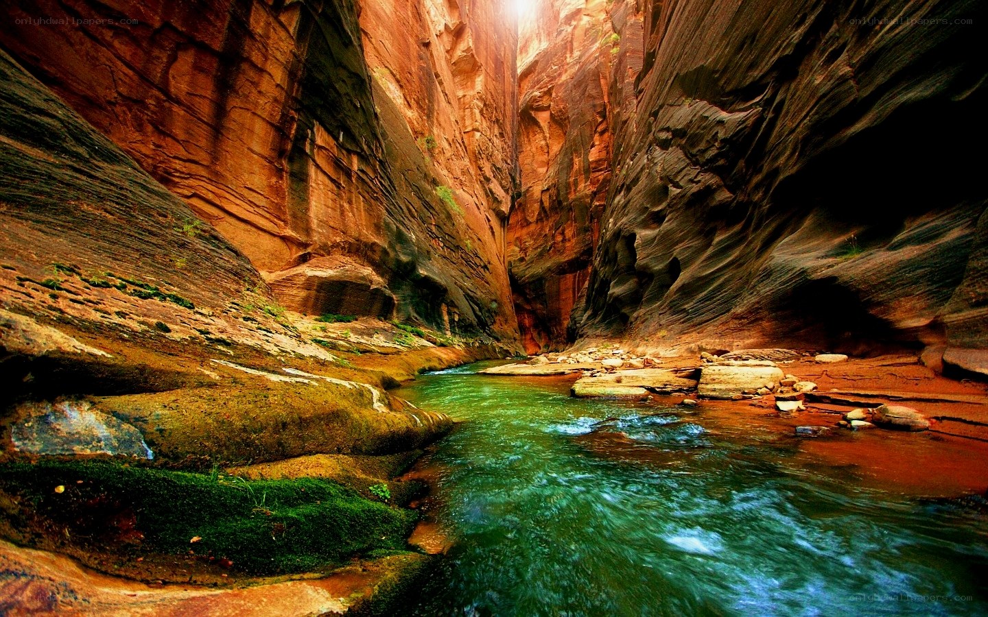 canyon river with green water
