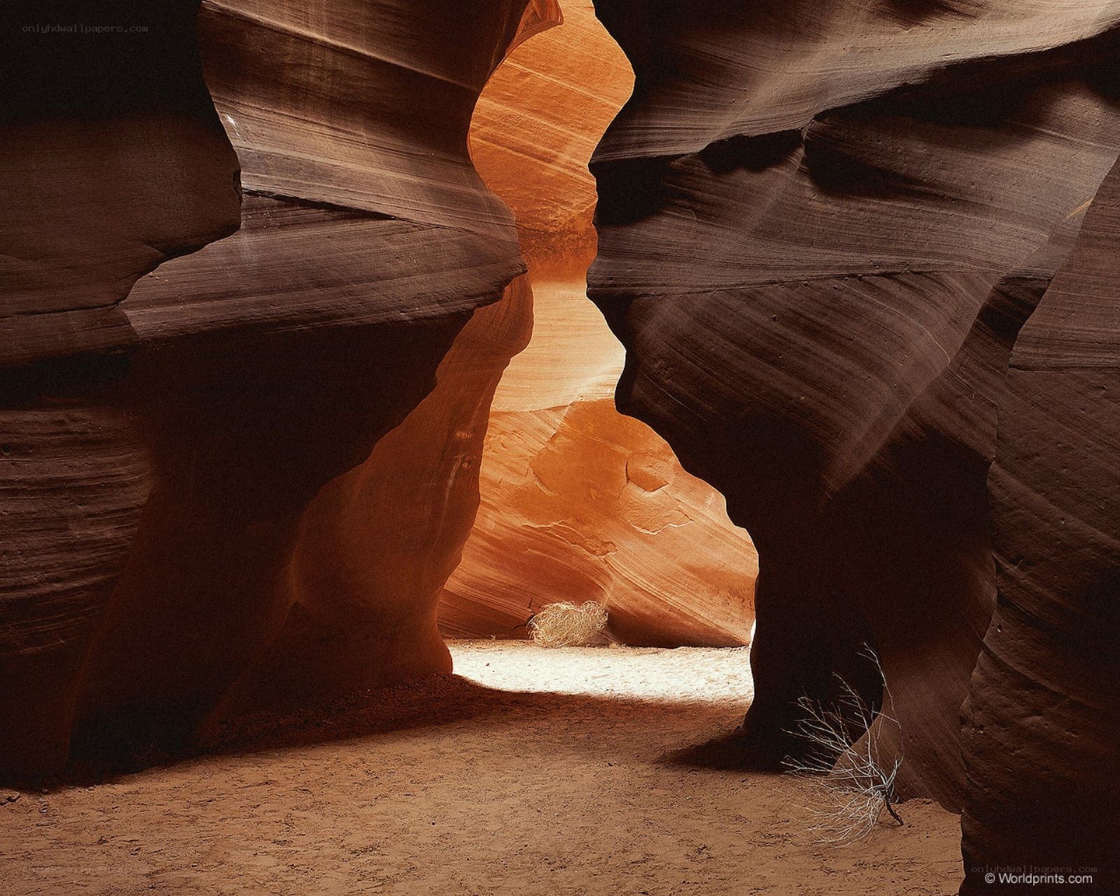 Canyon rock formations