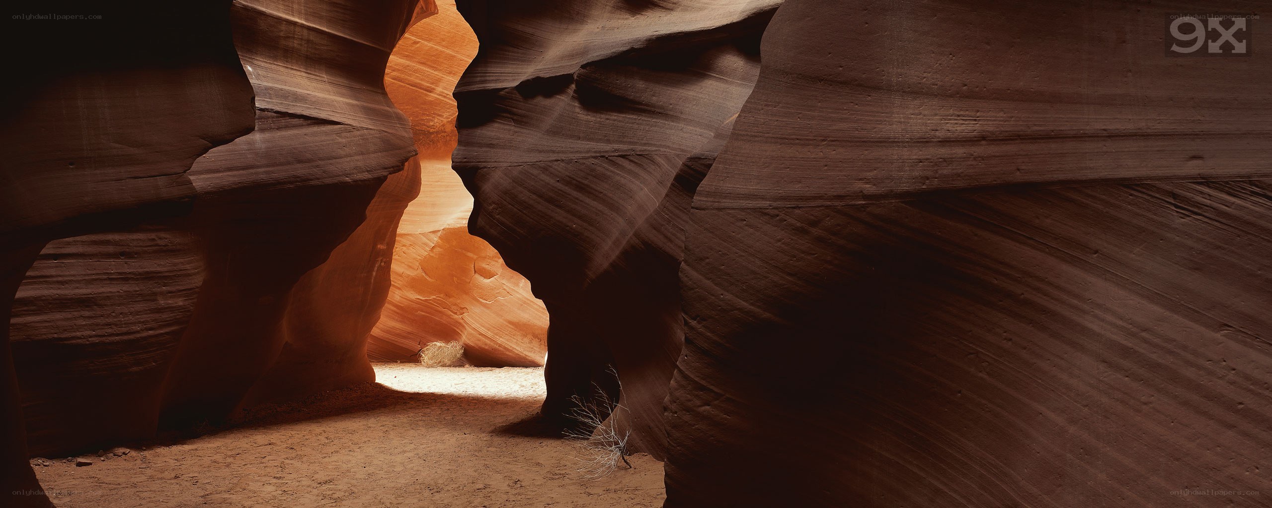 Canyon rock formations