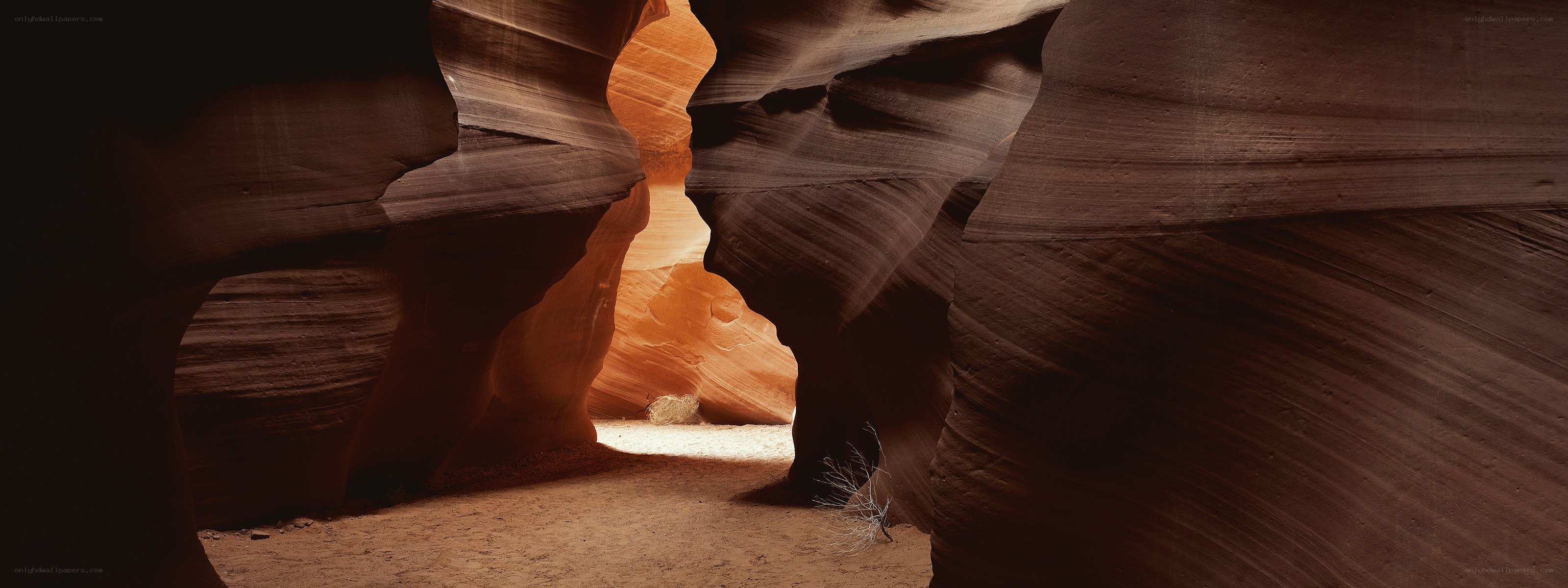 Canyon rock formations