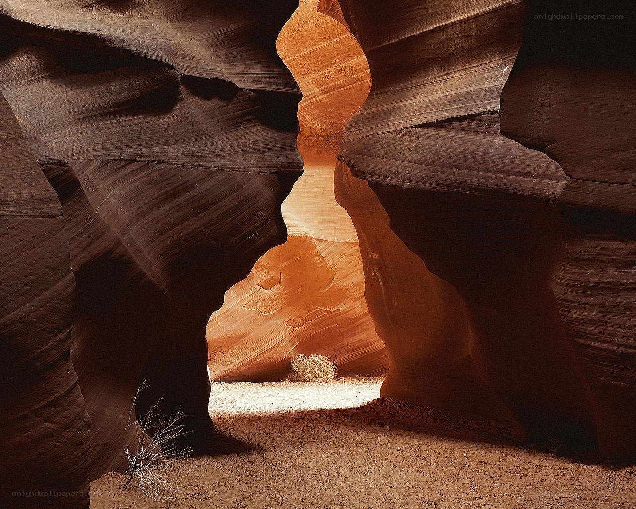 Canyon rock formations