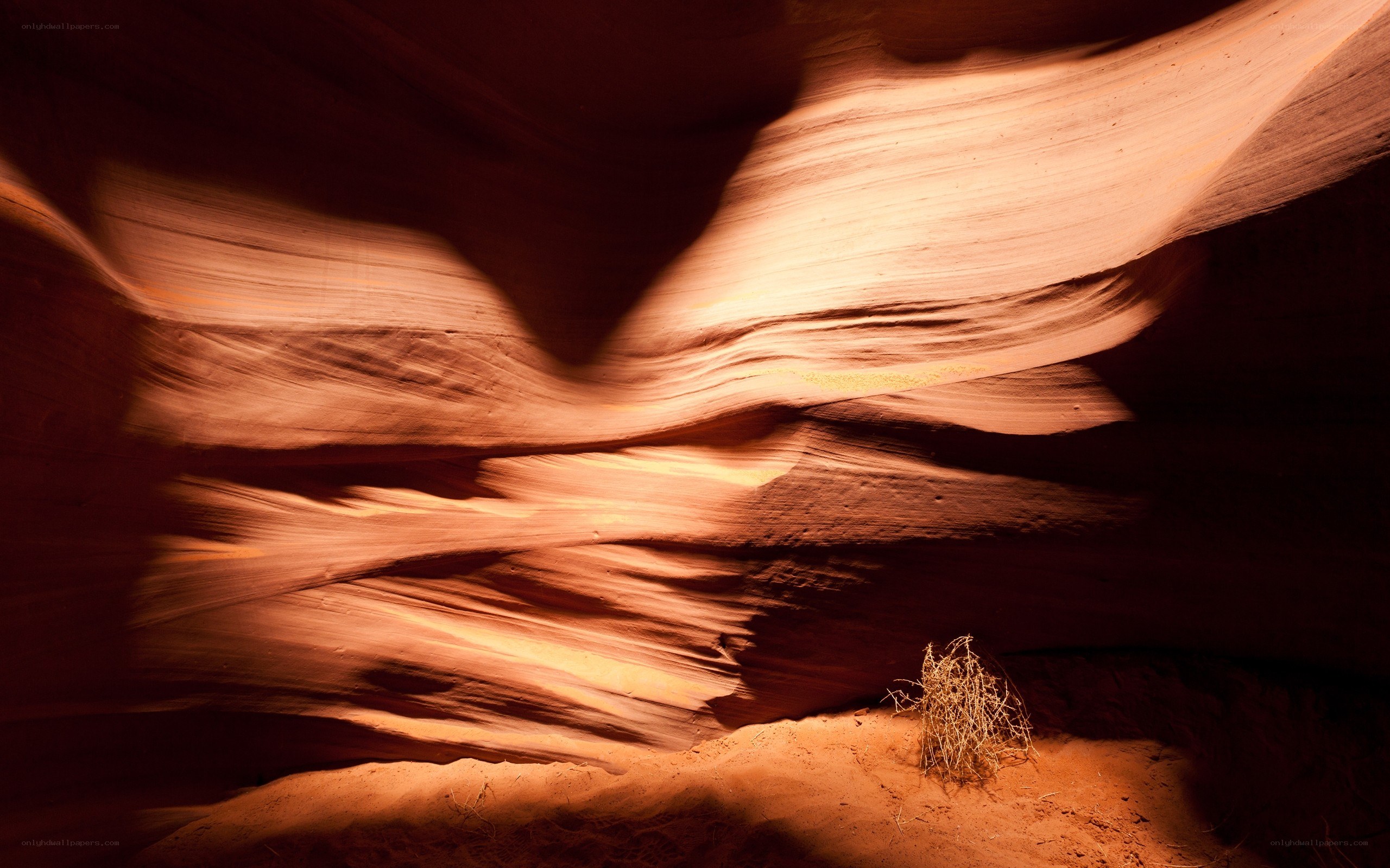 Canyon rock formations lit by sunlight