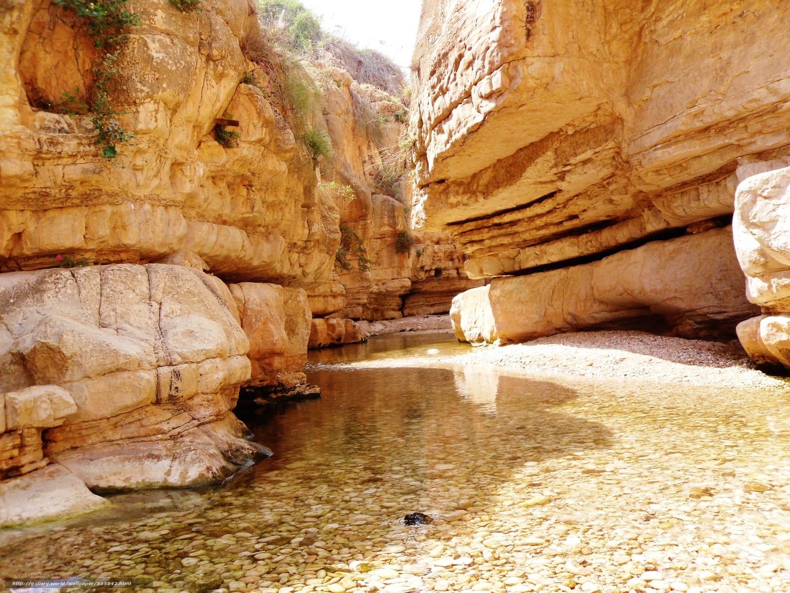 Canyon stream with clear water