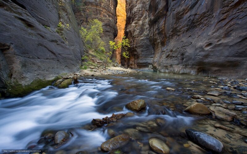 Canyon stream with flowing water