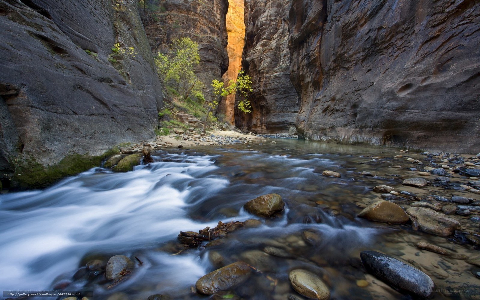 Canyon stream with flowing water