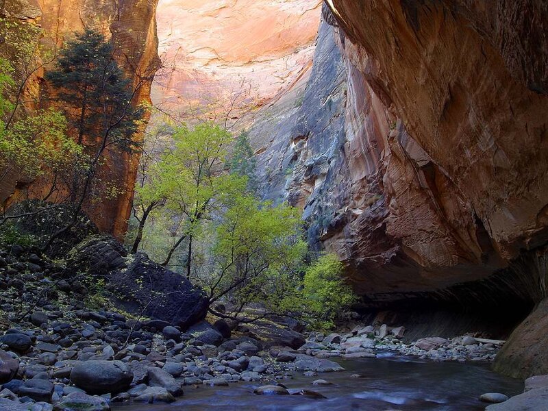 canyon stream with green trees