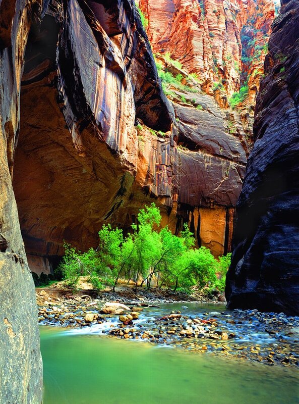Canyon stream with green trees