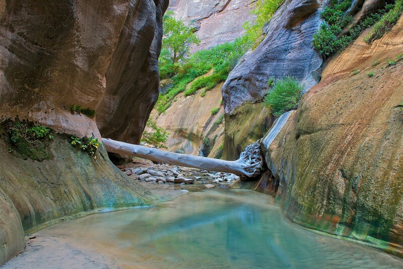 Canyon Stream with Log — Green