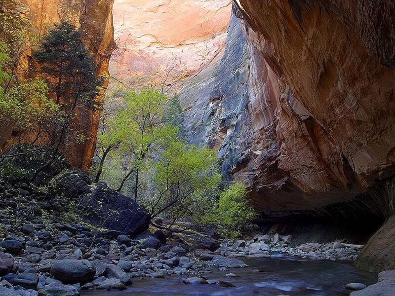Canyon Stream with Trees
