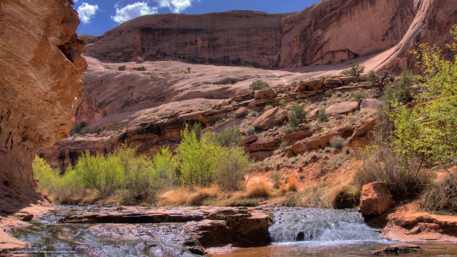 Canyon stream with waterfall