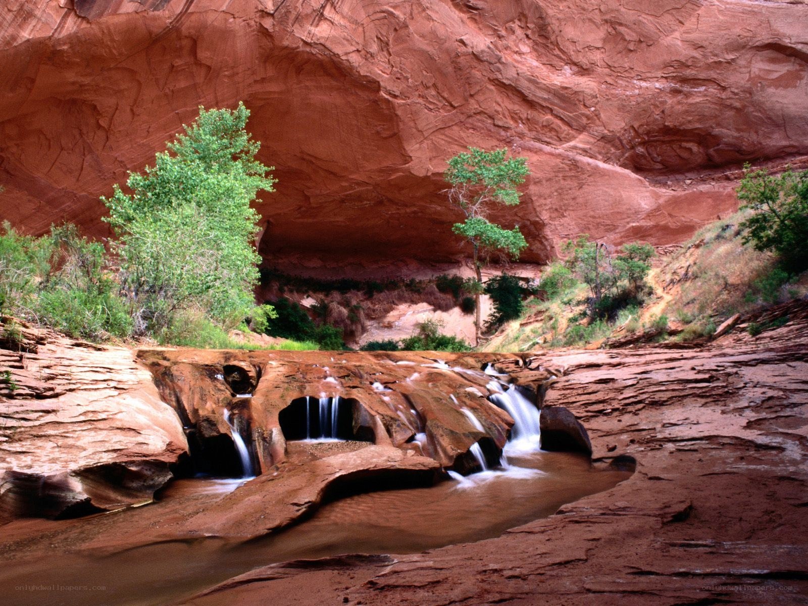 Canyon stream with waterfalls