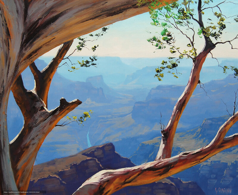 Canyon view through tree branches