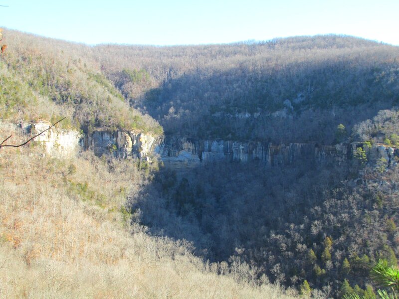 Canyon with Forested Cliffs — Brown
