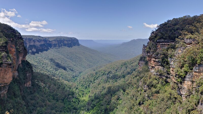 Canyon with Forested Cliffs — Green
