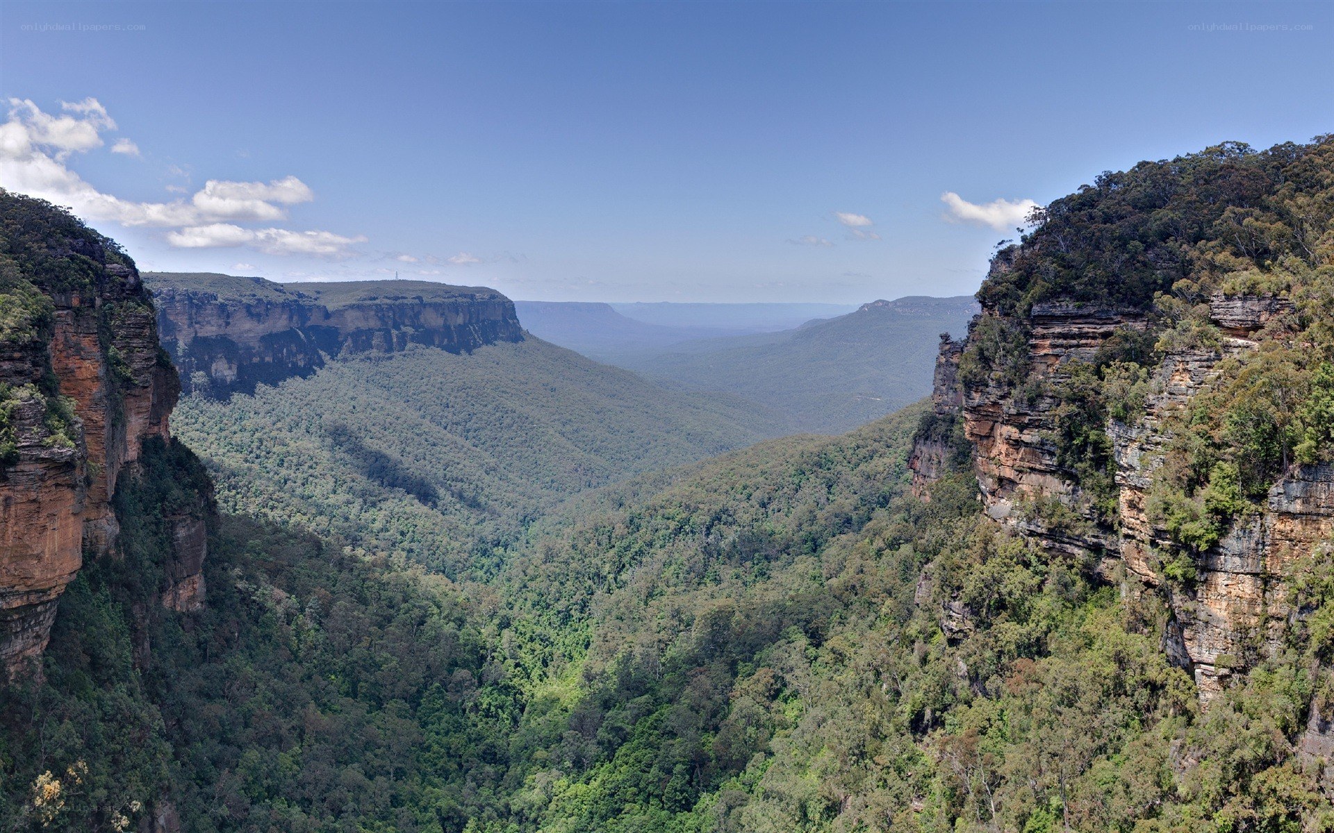 Canyon with forested cliffs