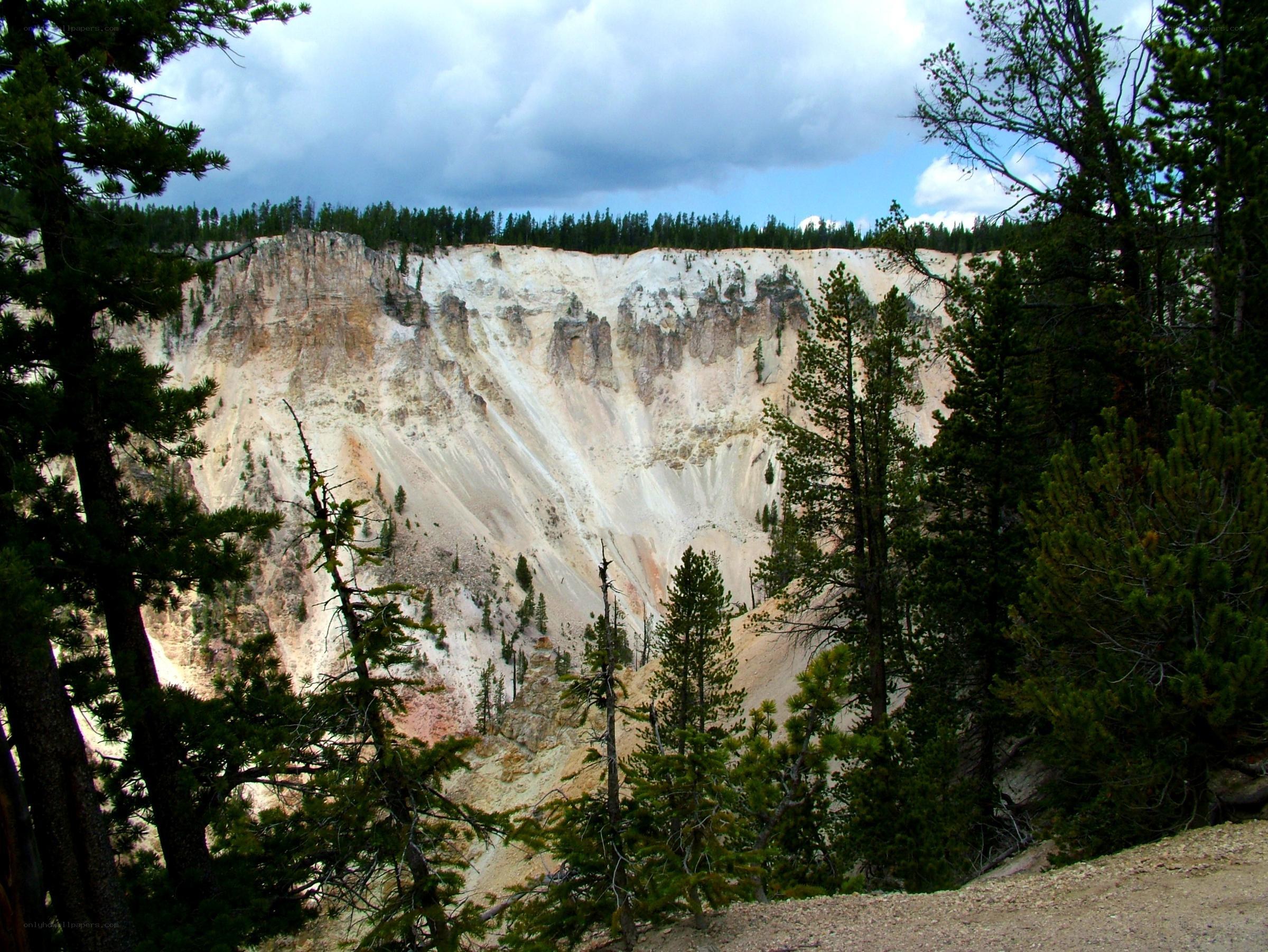 Canyon with forested rim