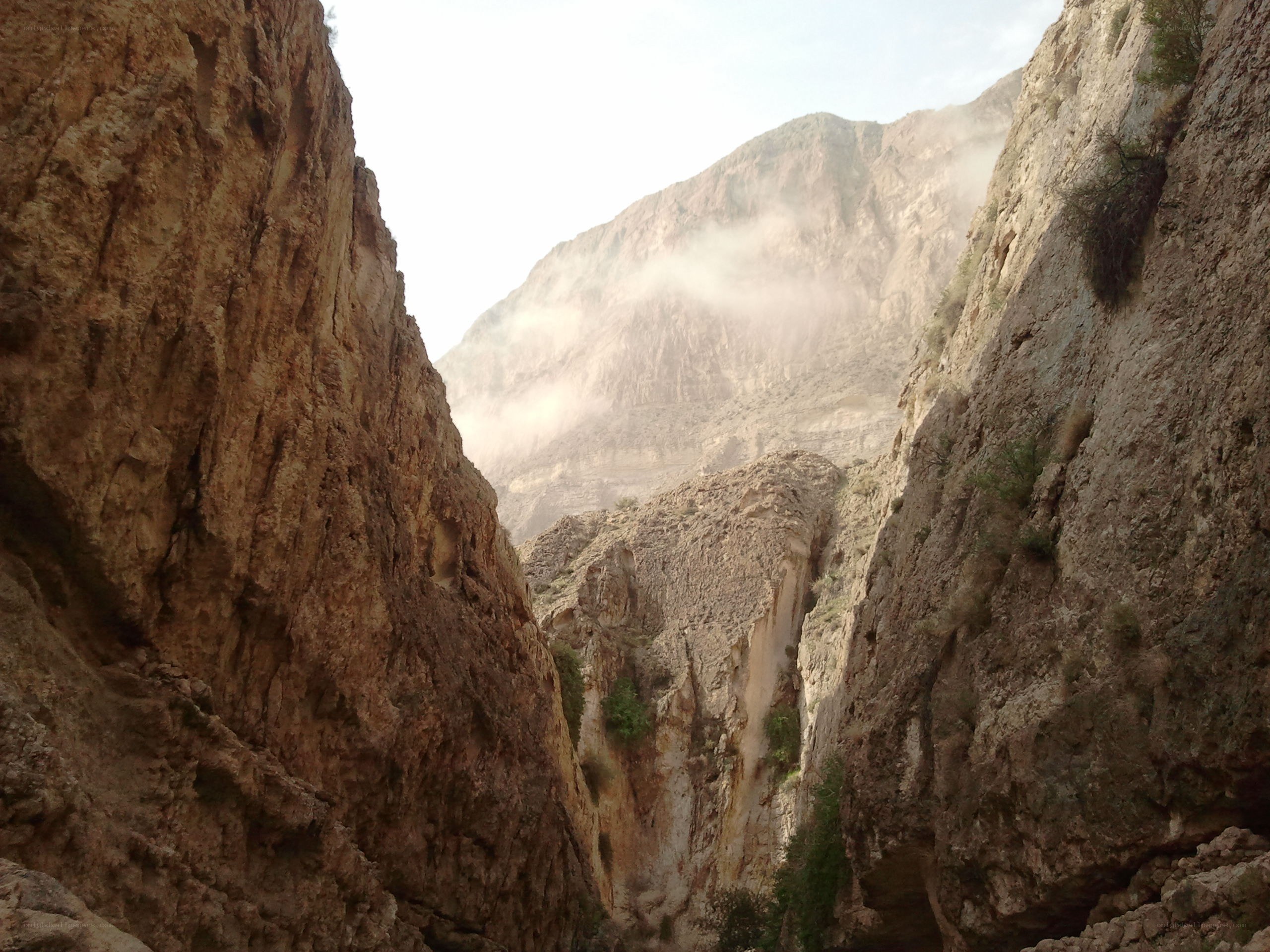 Canyon with misty mountains