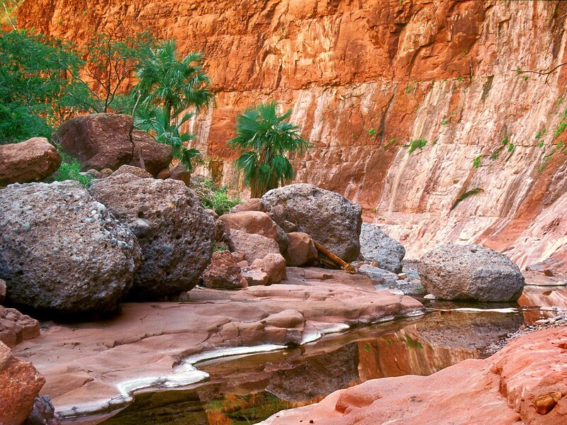Canyon with Palm Trees — Red, Serene, Afternoon