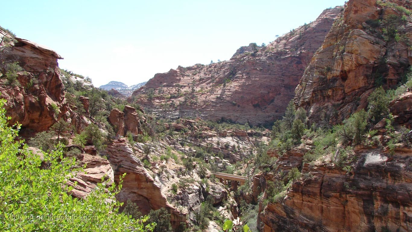 canyon with red rock formations