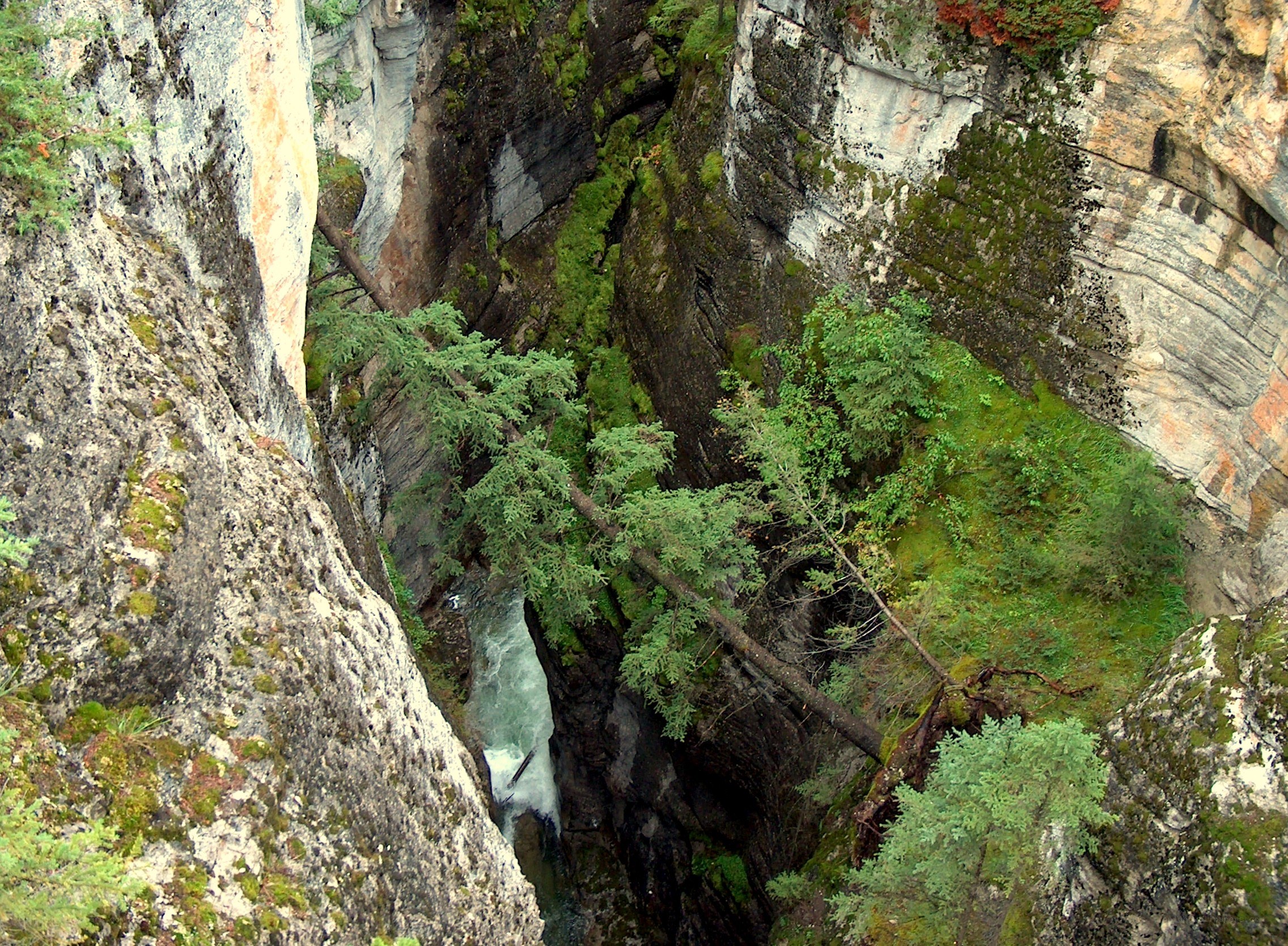 Canyon with river and moss