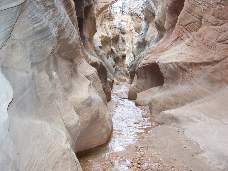 Canyon with Stream