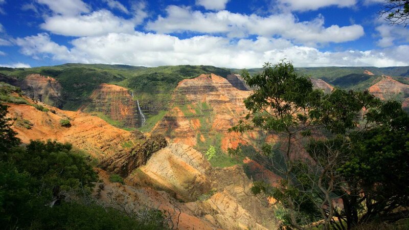 canyon with waterfall and green trees