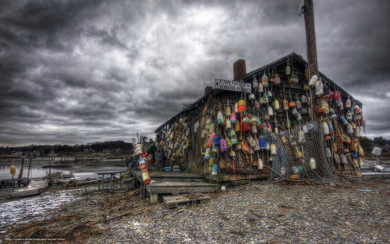 Cape Neddick Lobster Pound