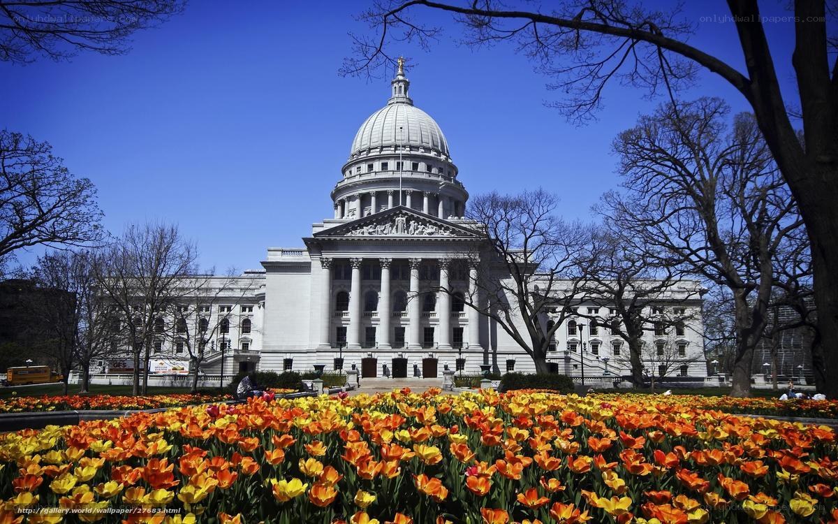 Capitol building with tulips