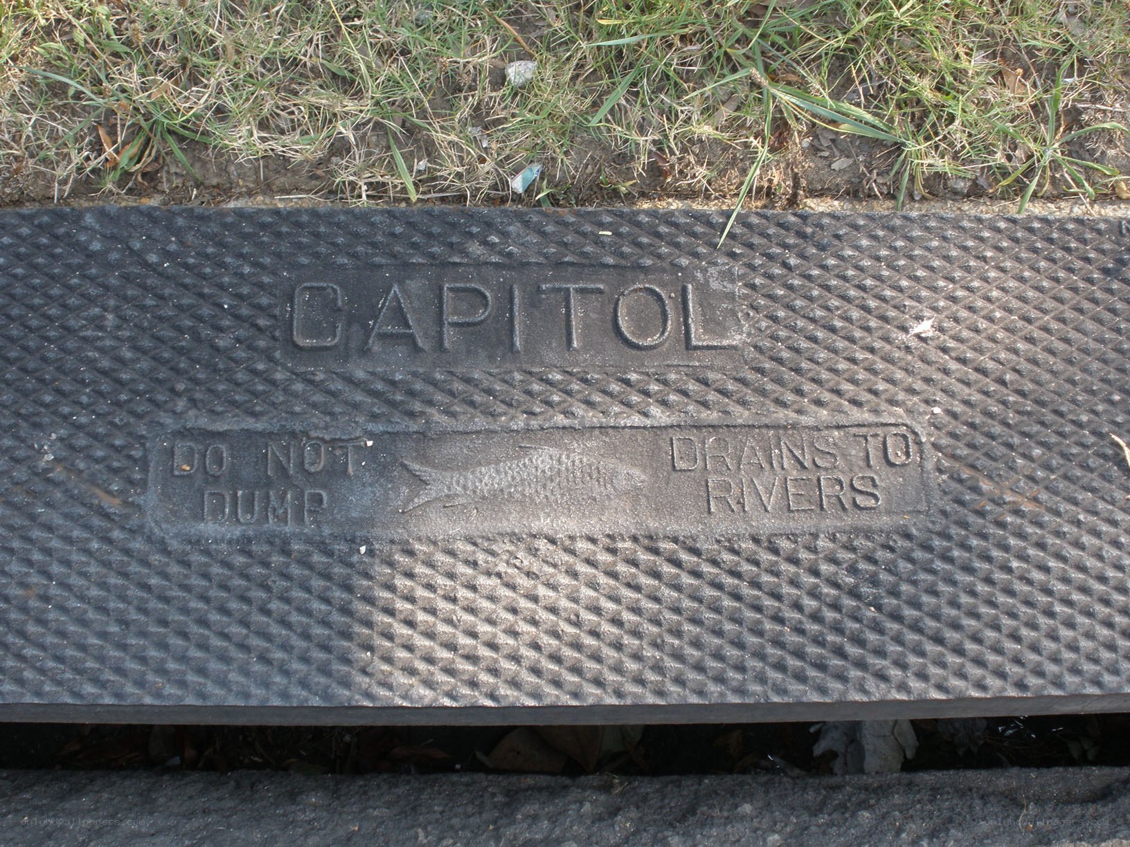 Capitol storm drain cover