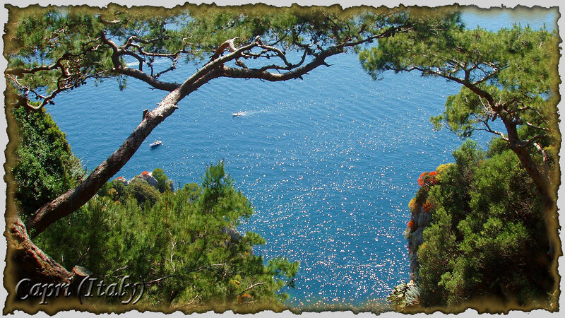 Capri Coastline View