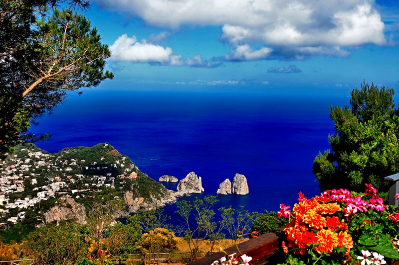 Capri Island Cliffs — Blue, Serene, Afternoon, Photograph, Sea, Flowers