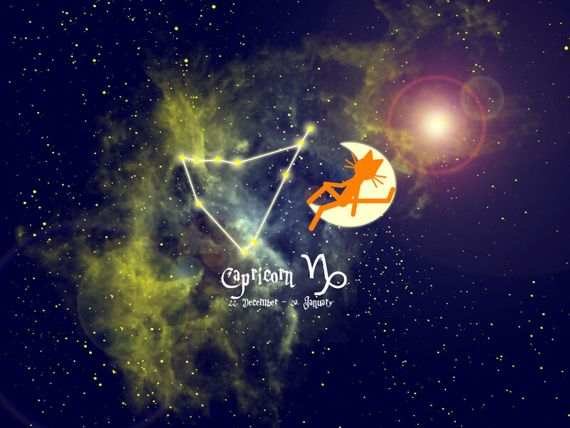 Capricorn Constellation