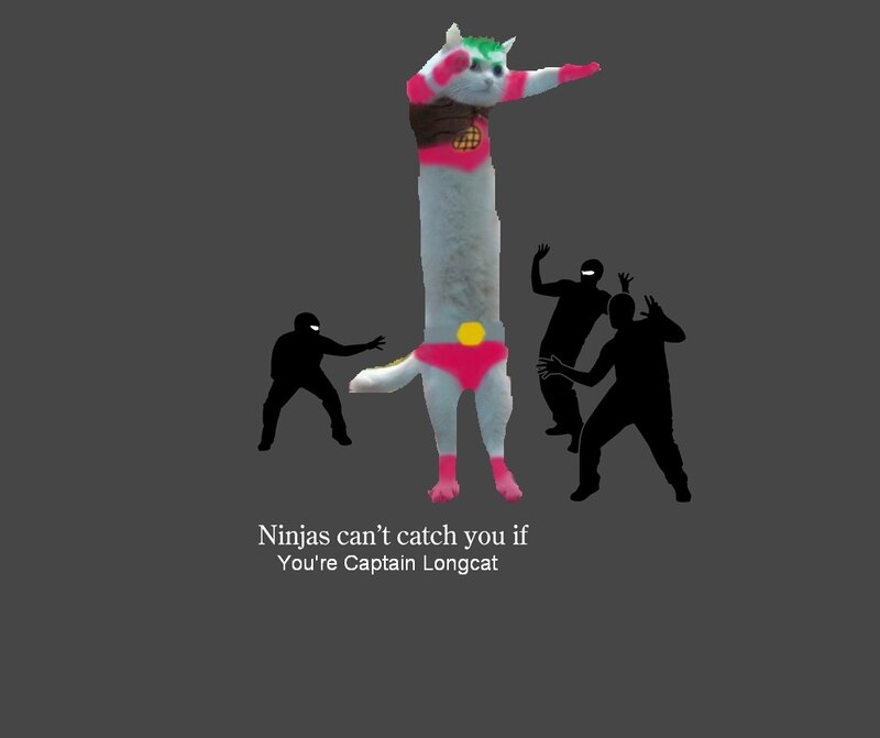 Captain Longcat vs Ninjas