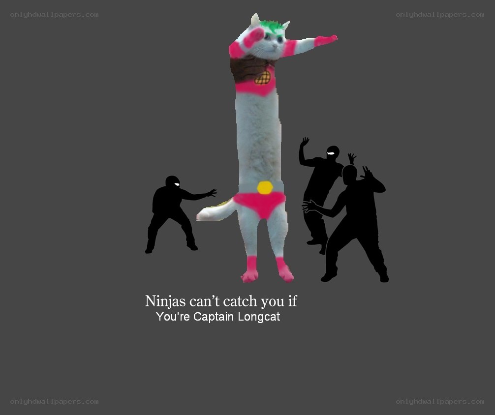 Captain Longcat vs Ninjas