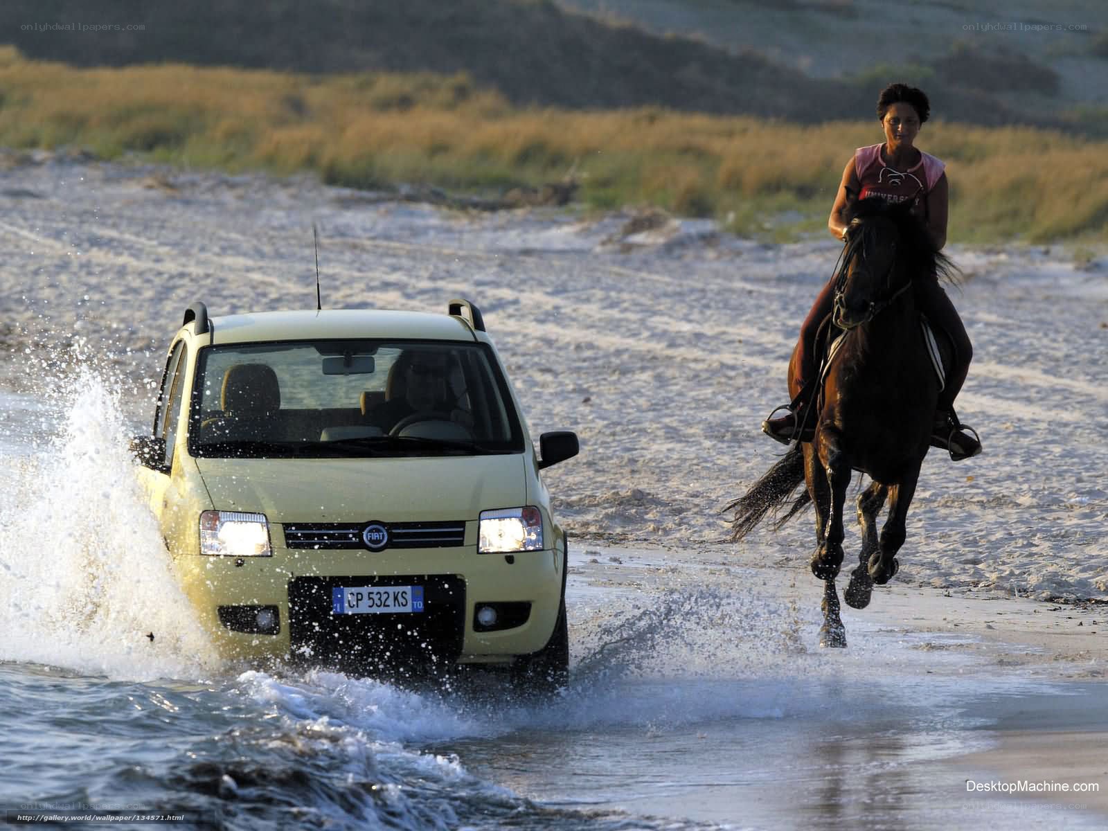 Car and horse on beach