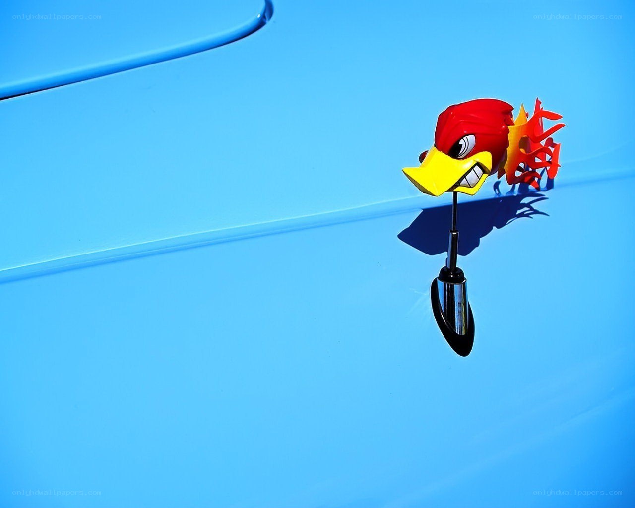 car antenna topper with bird