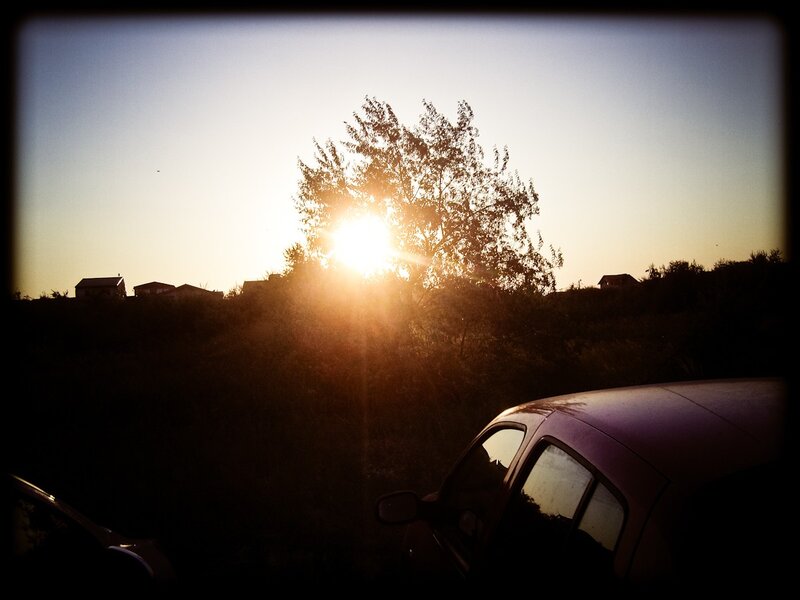 Car at Sunset — Orange, Dramatic, Photograph, Tree