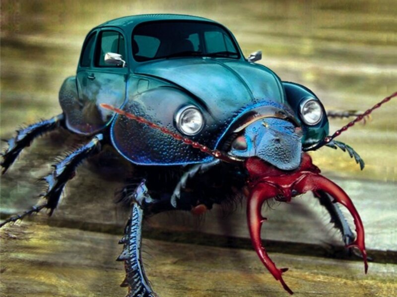 car beetle hybrid creature