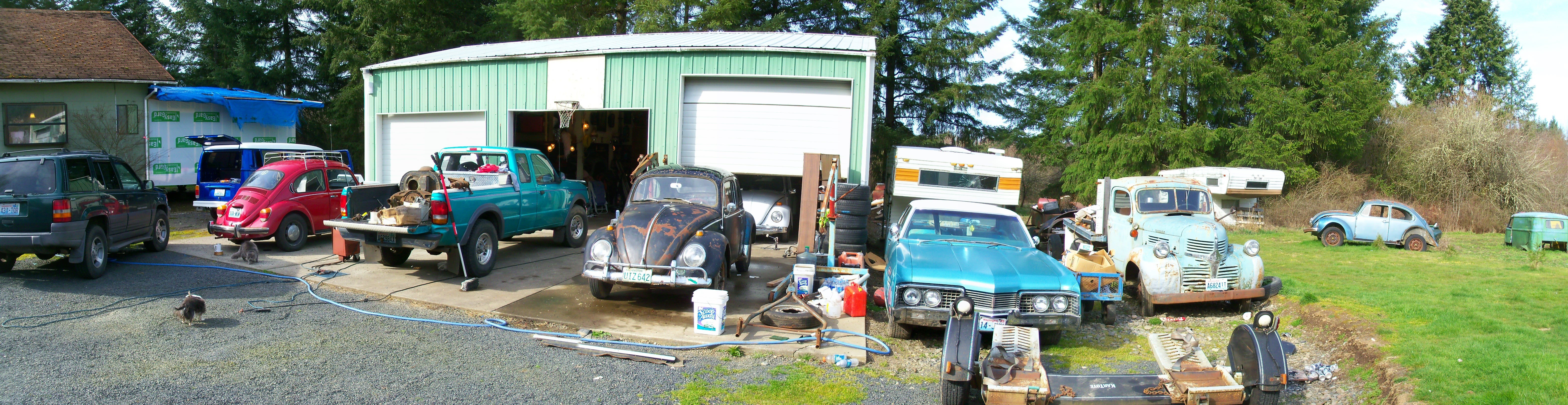 car collection in a rural yard