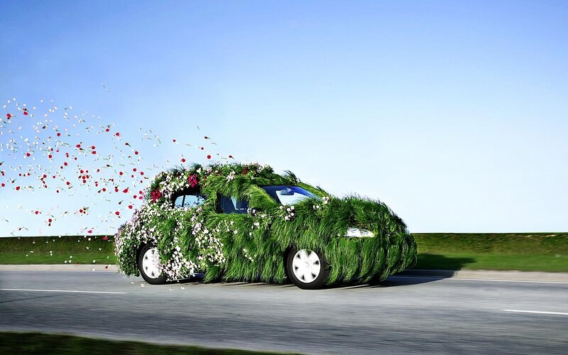 Car Covered in Flowers