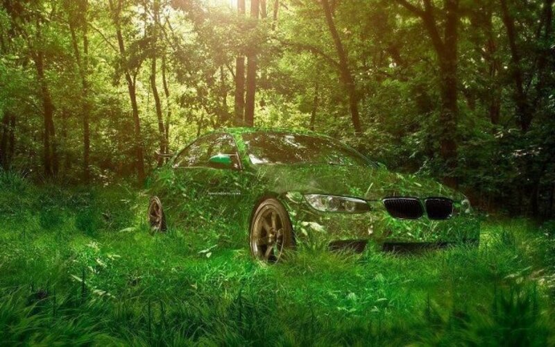 Car Covered in Foliage