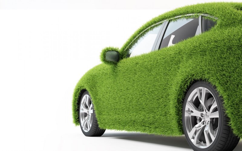 Car Covered in Grass — Green