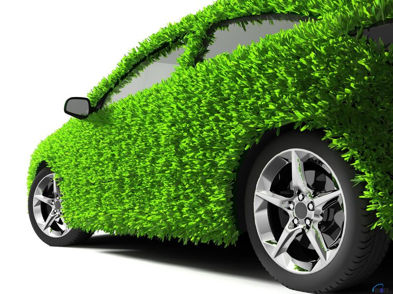Car Covered in Grass