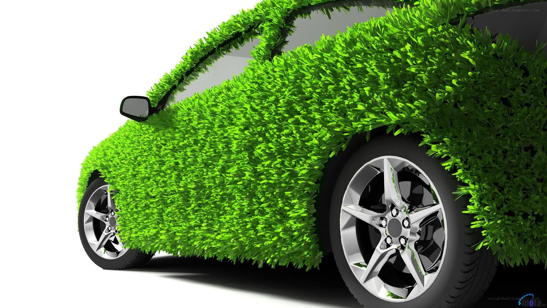 car covered in green plants