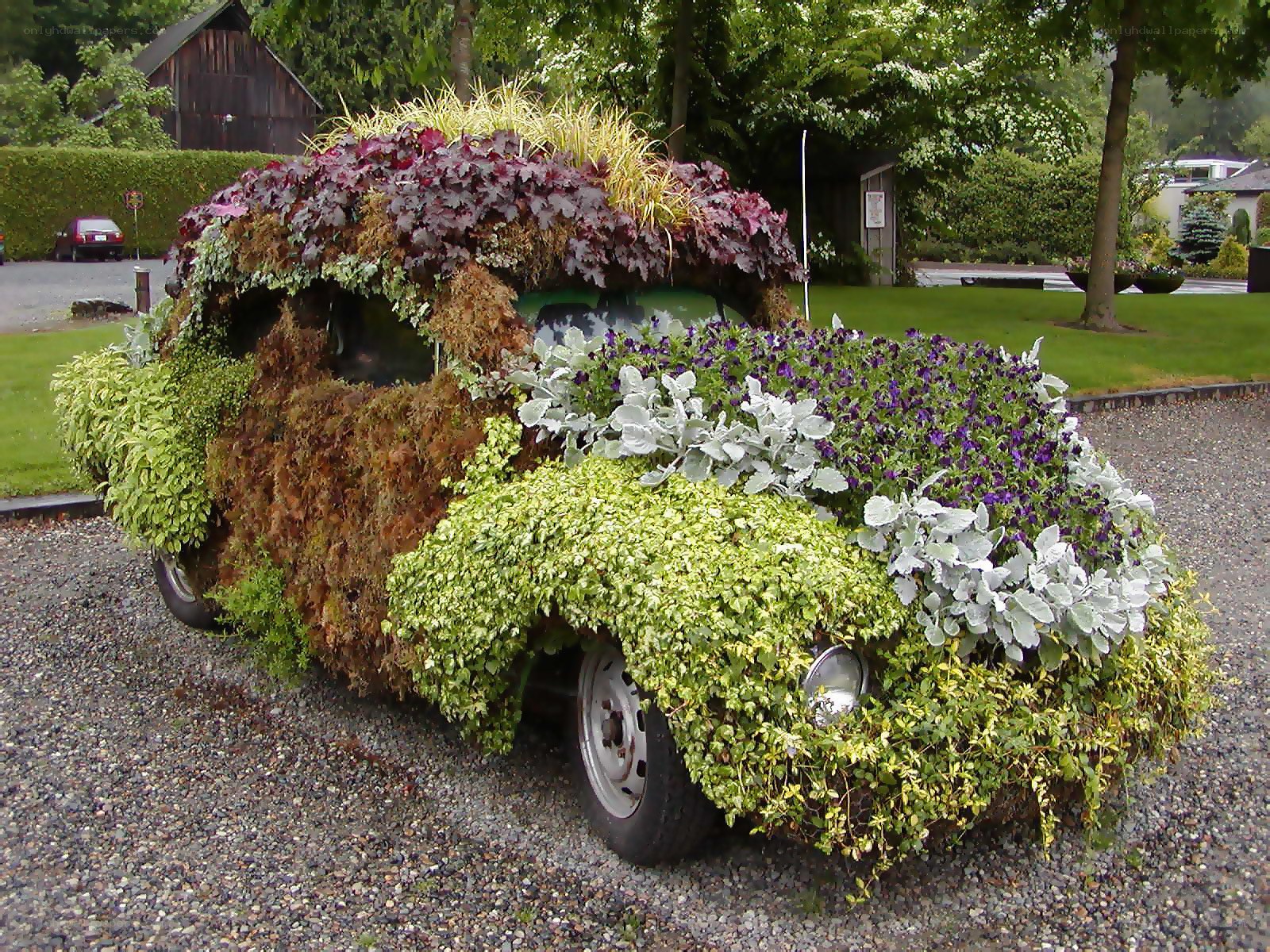car covered in plants