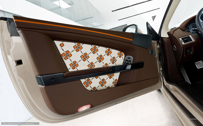 Car Door Interior — Brown