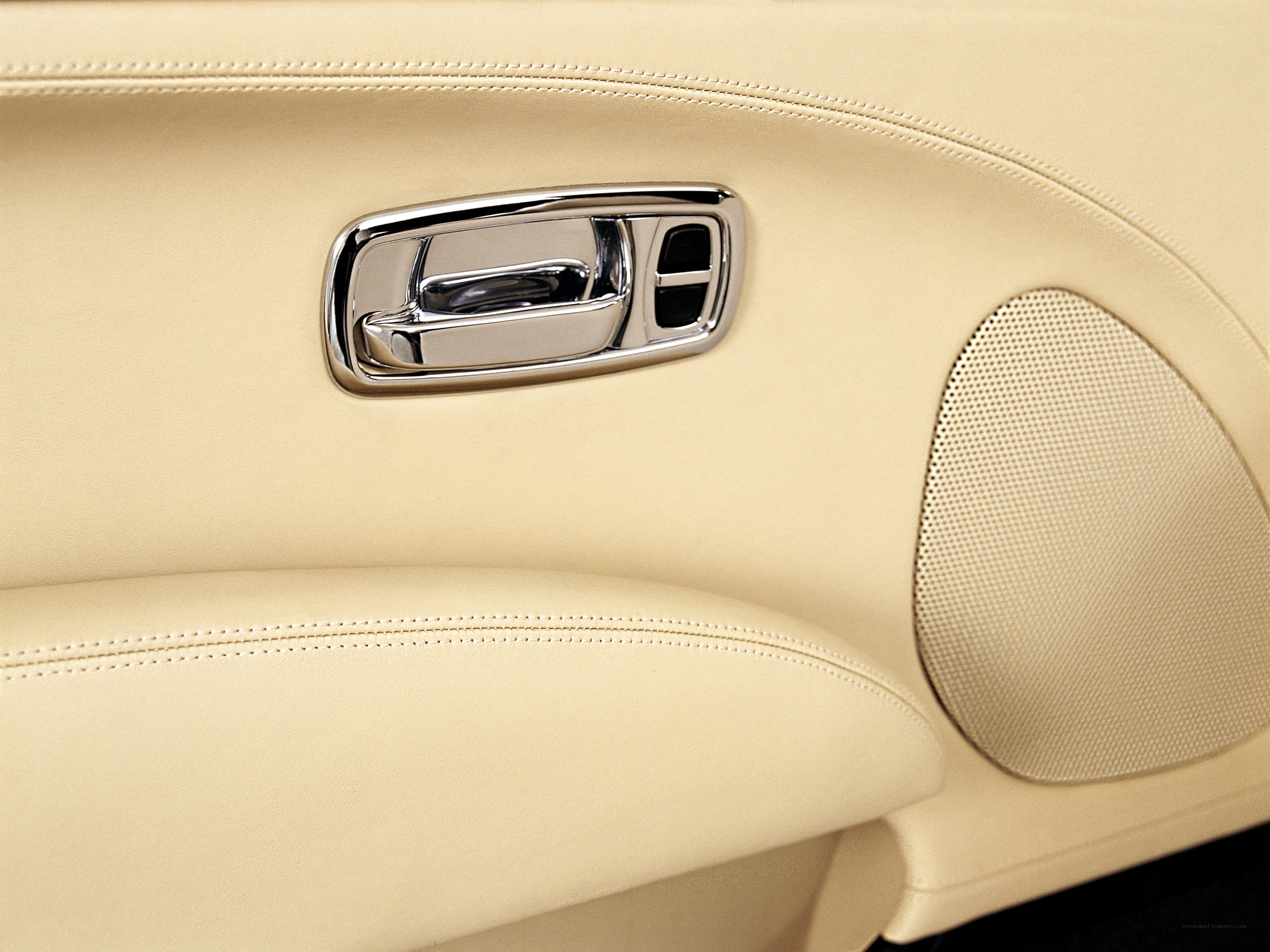 car door interior detail
