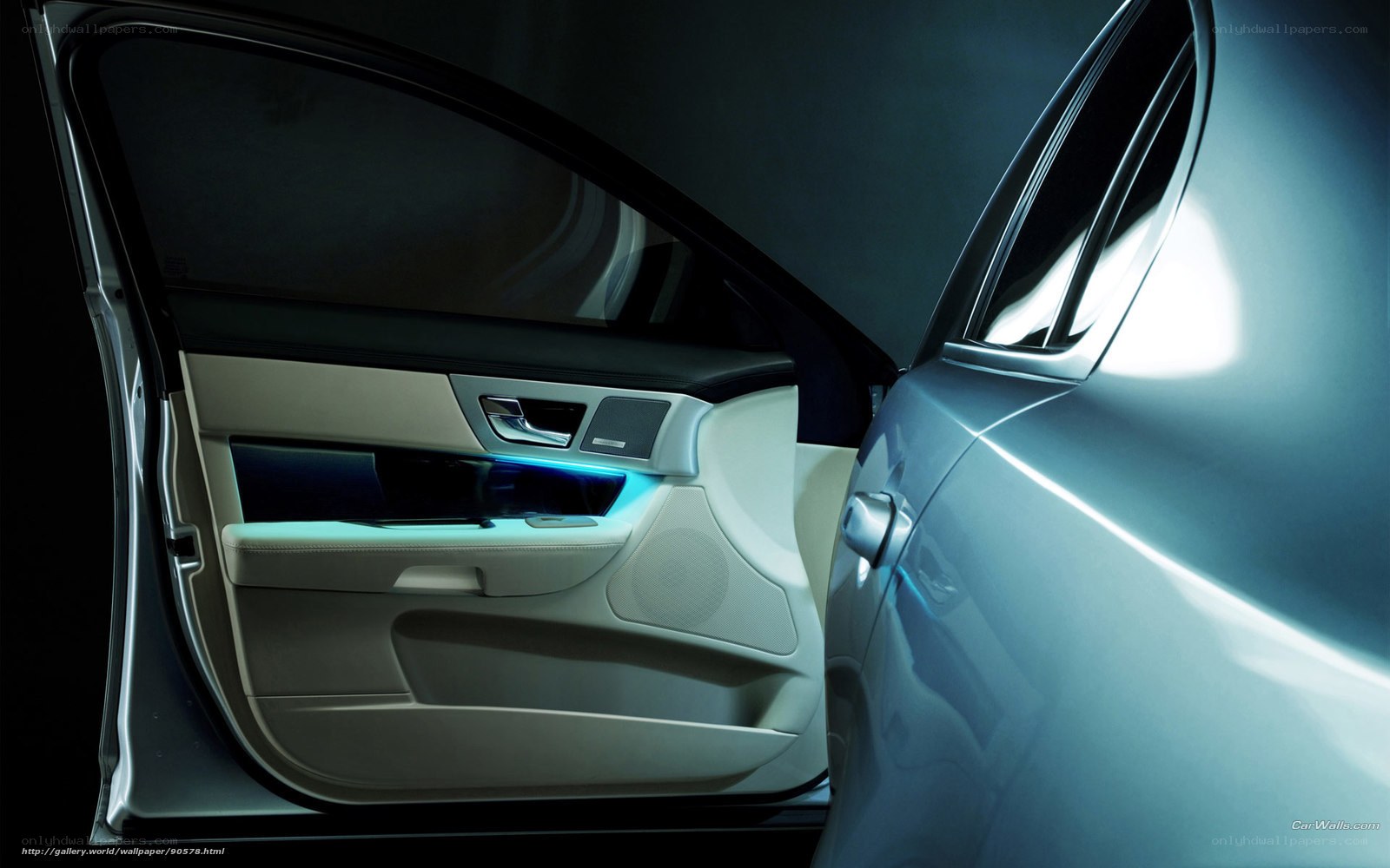 Car door interior with ambient lighting